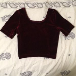 American Apparel Velvet Crop Top